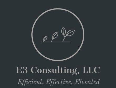 E3 Consulting, LLC